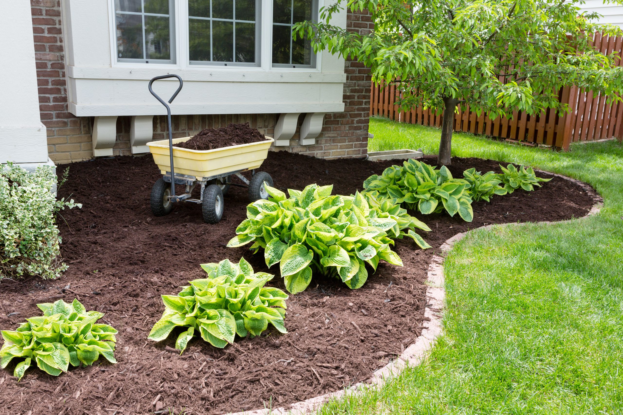 Brown Bark Mulch - Dirt Cheap | Soil, Aggregates, Grass Seed, Mulch Delivery Kitchener