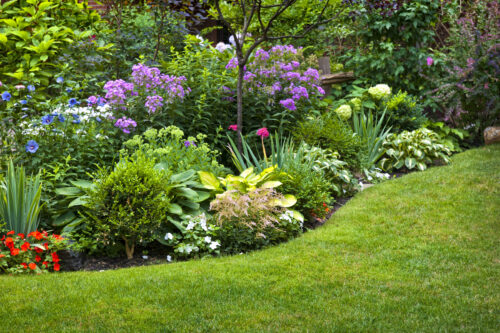 where to buy mulch Cambridge