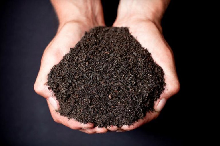 Screened Topsoil Dirt Cheap Soil, Aggregates, Grass Seed, Mulch