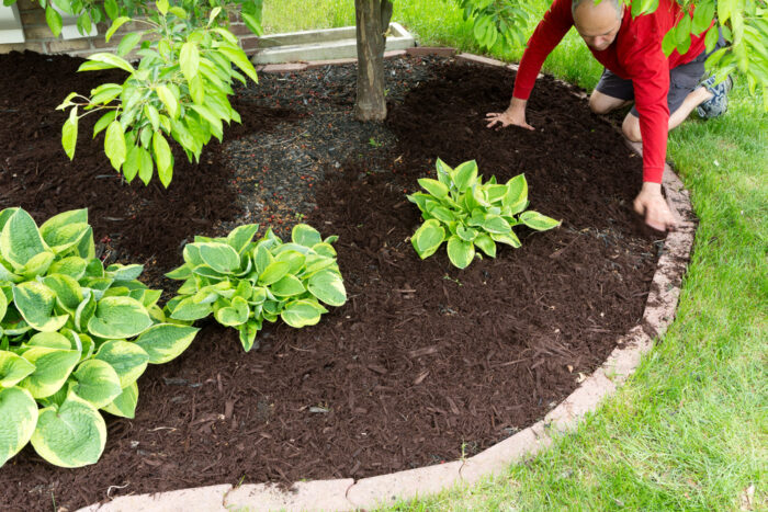 Lawn edging ideas from Dirt Cheap in Ontario