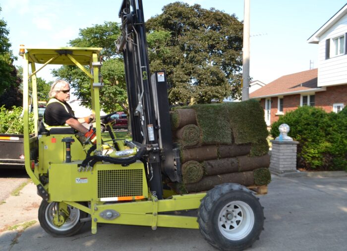 Fresh Sod - Image 4